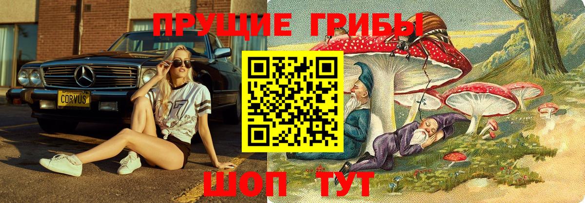 Новокузнецк  Галлюциногенные грибы Psilocybine cubensis  Вход с VPN 